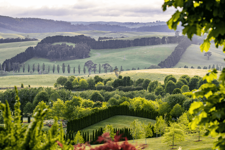 tb-australia-mayfield-garden-oberon