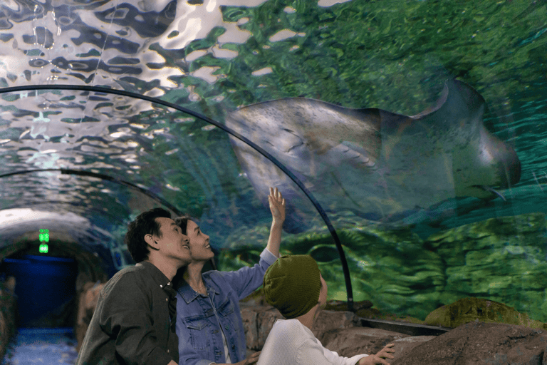 tb-australia-sea-life-sydney-aquarium