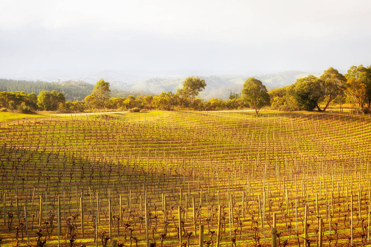 Live Large in South Australia’s Winter Wonderland
