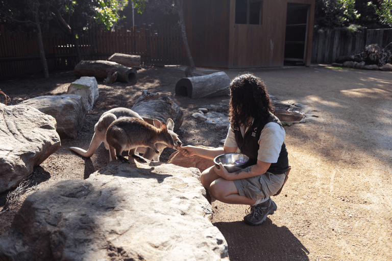 tb-australia-taronga-zoo