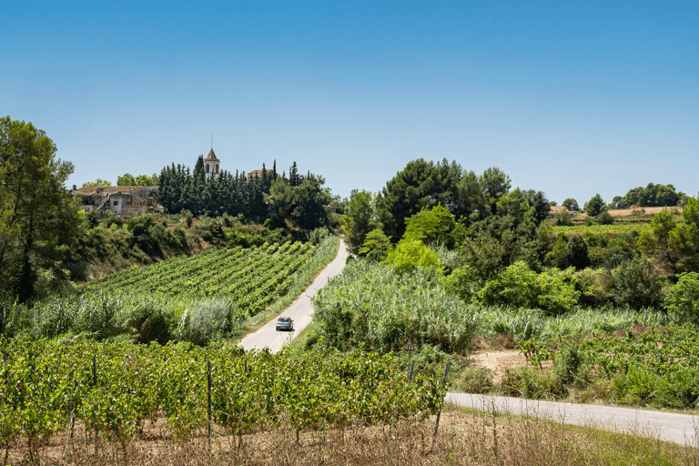 tb-catalunya-grand-tour-penedes
