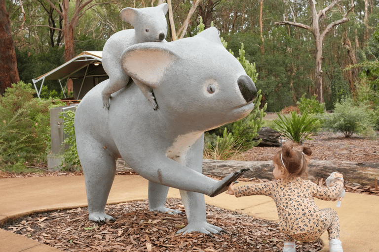 tb-dnsw-brie-benfell-sydney-and-beyond-port-stephens-koala-sanctuary
