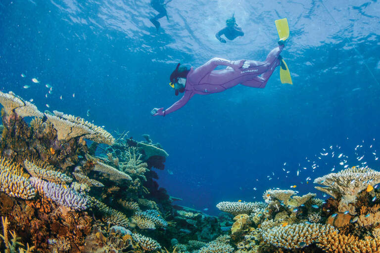 tb-oceania-australia-great-barrier-reef
