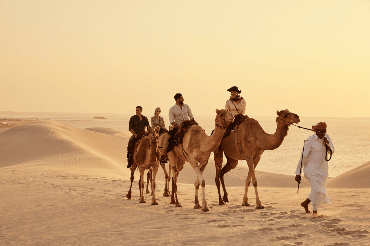 Discover the best of Qatar