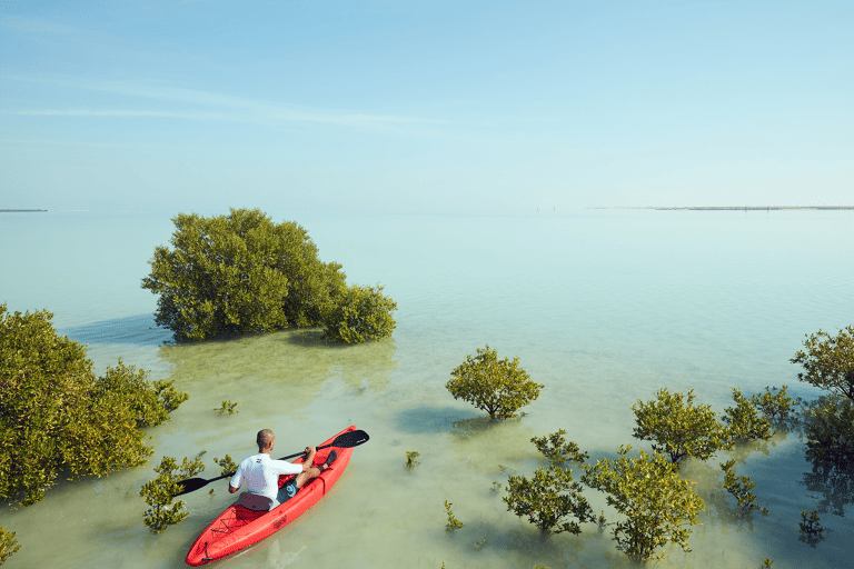 tb-qatar-mangroves-kayak