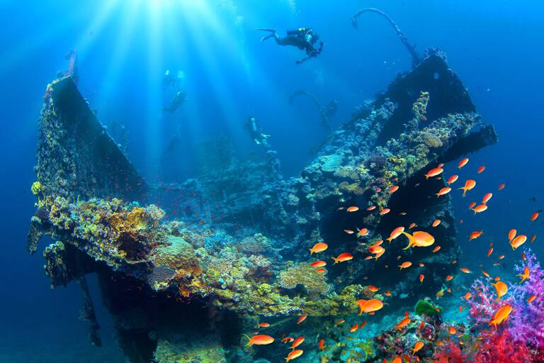 tb-saudi-arabia-red-sea-snorkeling