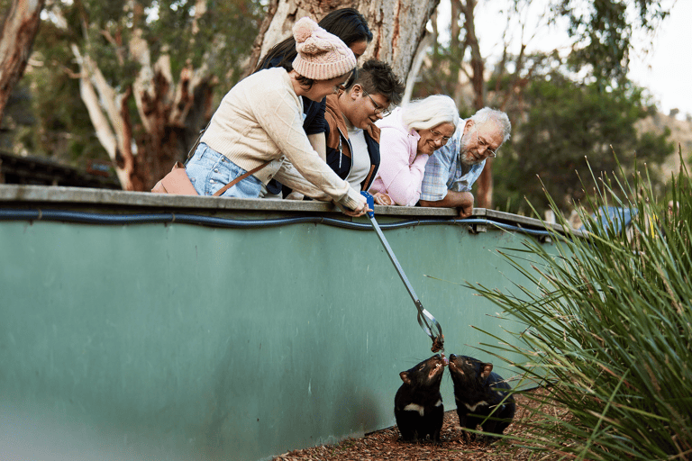 tb-tasmania-bonorong-wildlife-sanctuary
