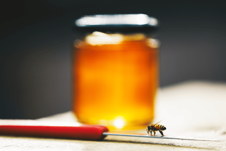 tb-tasmania-food-leatherwood-honey