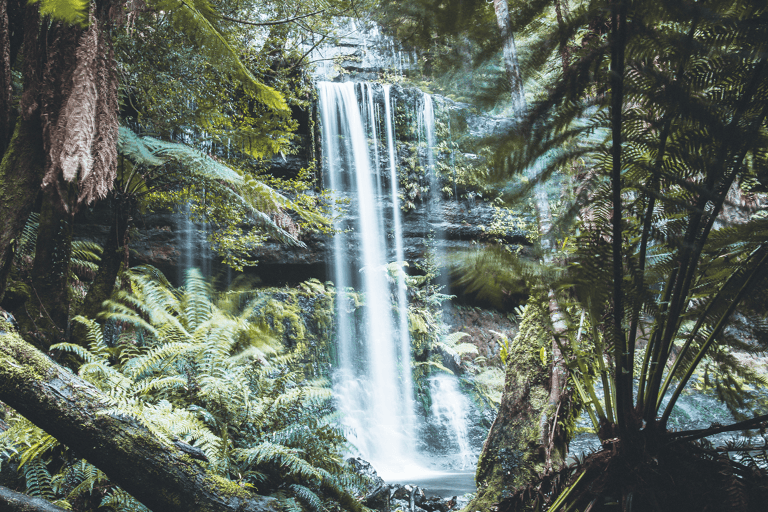 tb-tasmania-mount-field-national-park-russel-falls
