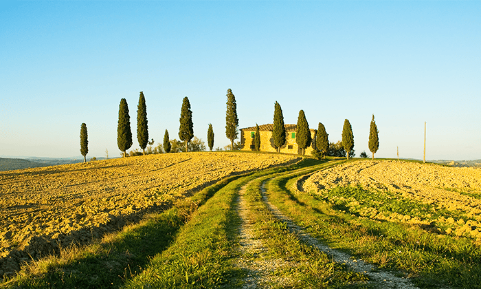 toscane