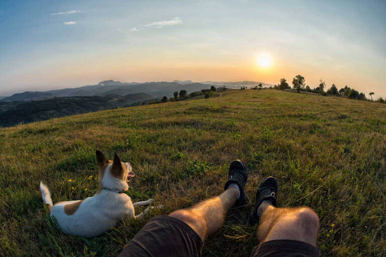 travel-man-with-dog-field-large