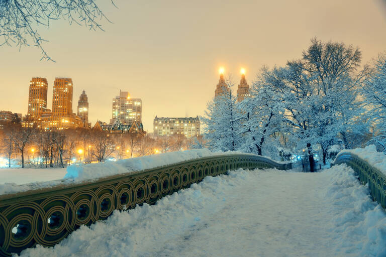 united-states-new-york-christmas-central-park