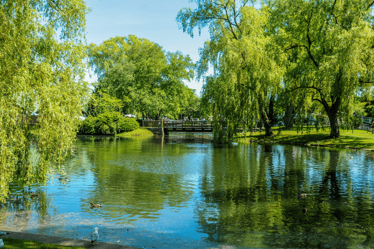 usa-canada-toronto-the-toronto-islands-01