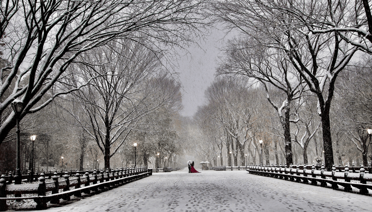 usa-new-york-central-park-winter-wedding