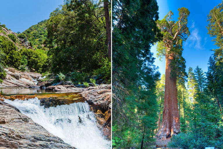 usa-roadtrip-sequoia-national-park