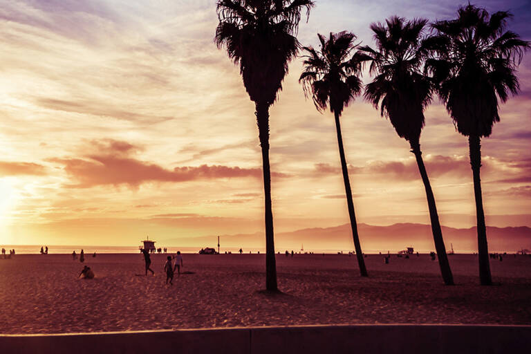 usa-roadtrip-venice-beach