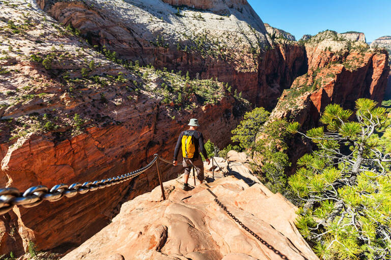 usa-roadtrip-zion-park