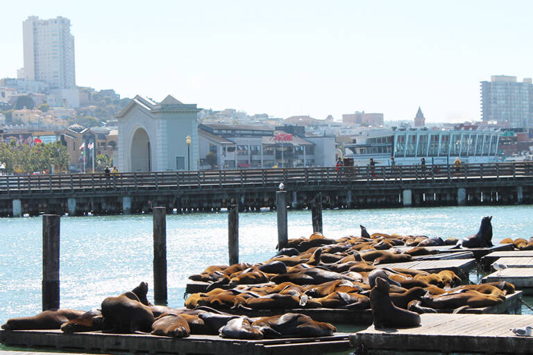 usa-san-francisco-fisherman-warf
