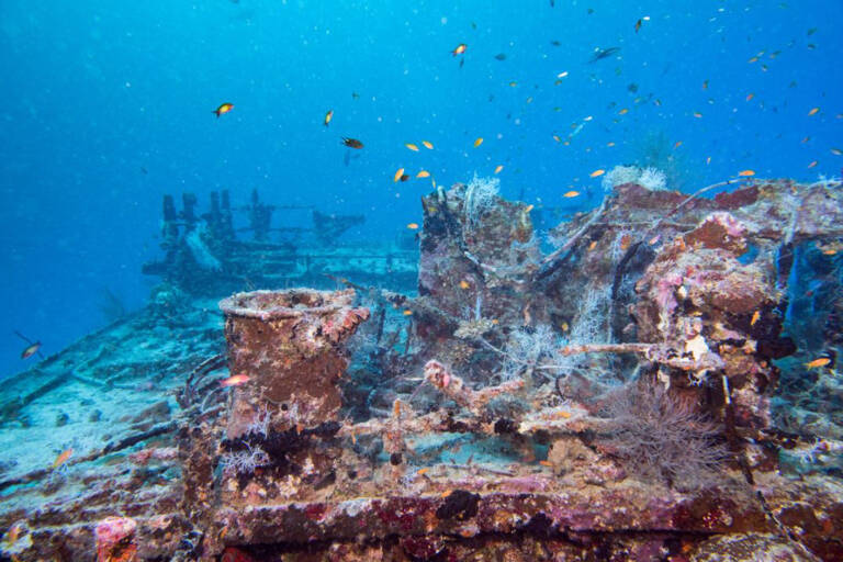 uss1