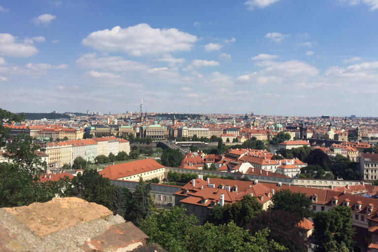 view
