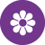 icons_spring_bua_purple